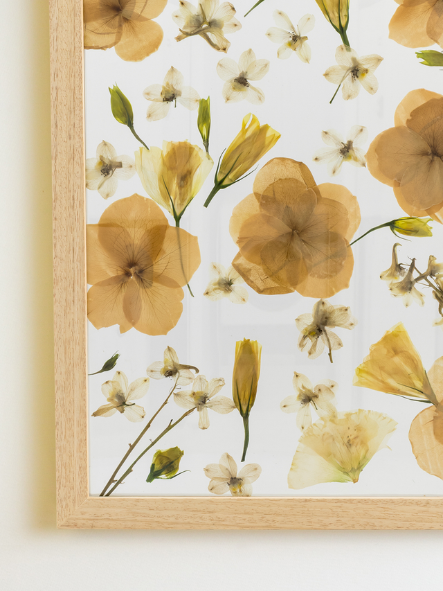 Bouquet Preservation – Modern Design