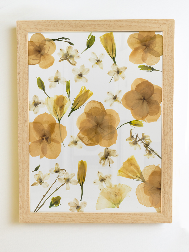 Bouquet Preservation – Modern Design