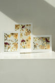 Bouquet Preservation – Radius Design